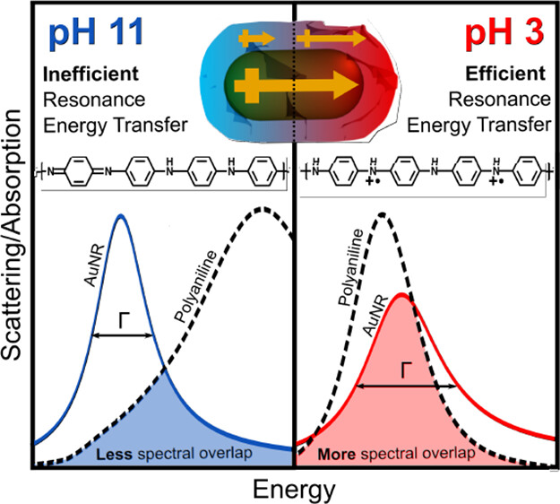 Active Control of Energy Transfer in Plasmonic Nanorod–Polyaniline Hybrids 