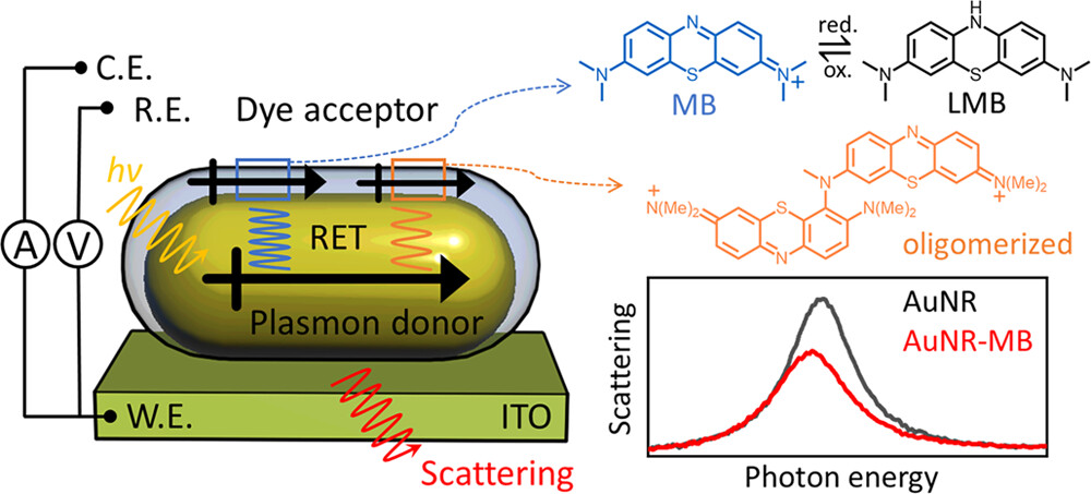 Plasmon Energy Transfer Driven by Electrochemical Tuning of Methylene Blue on Single Gold Nanorods 