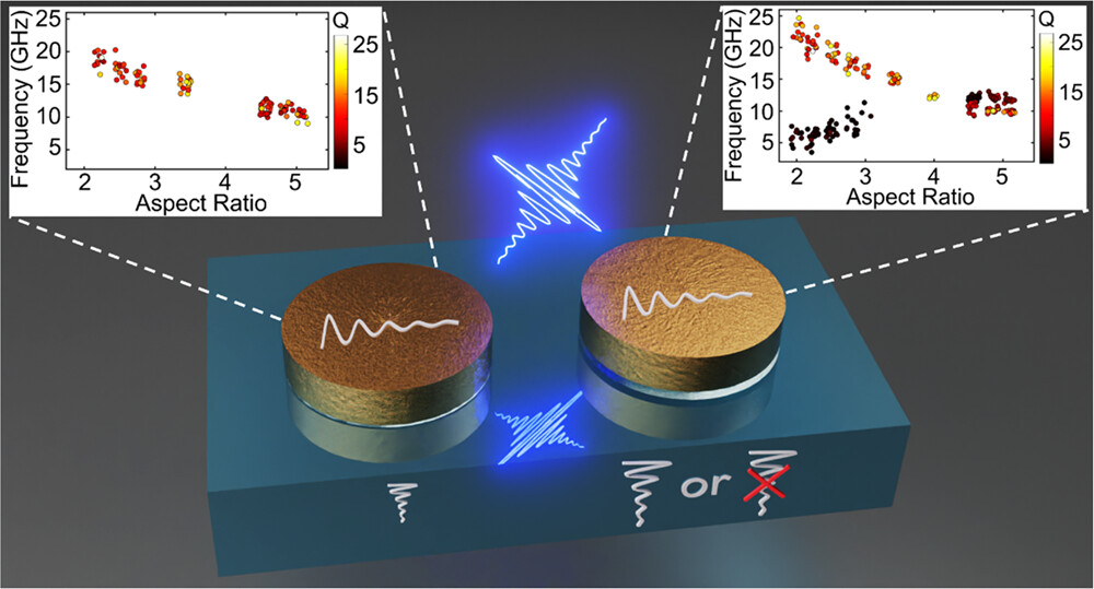 Strong Substrate Binding Modulates the Acoustic Quality Factors in Gold Nanodisks