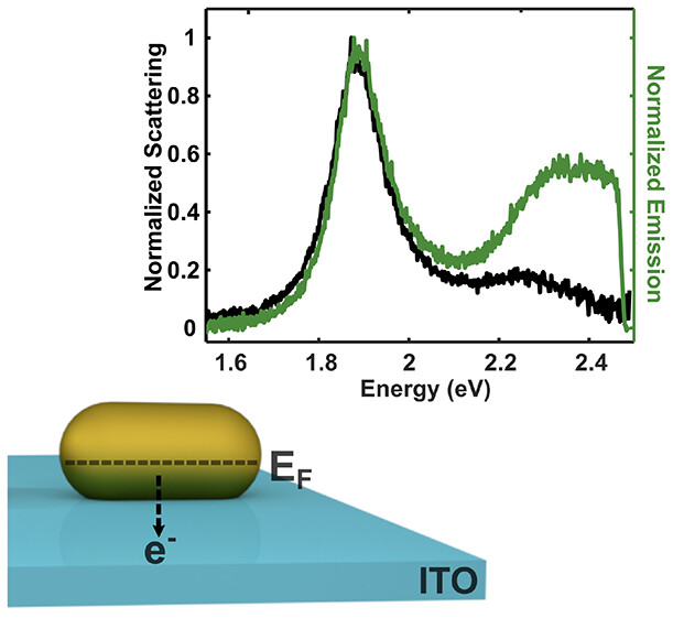 Single-Particle Photoluminescence and Dark-Field Scattering during Charge Density Tuning