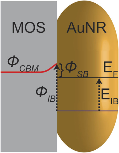 Spectroscopic signatures of plasmon-induced charge transfer in gold nanorods