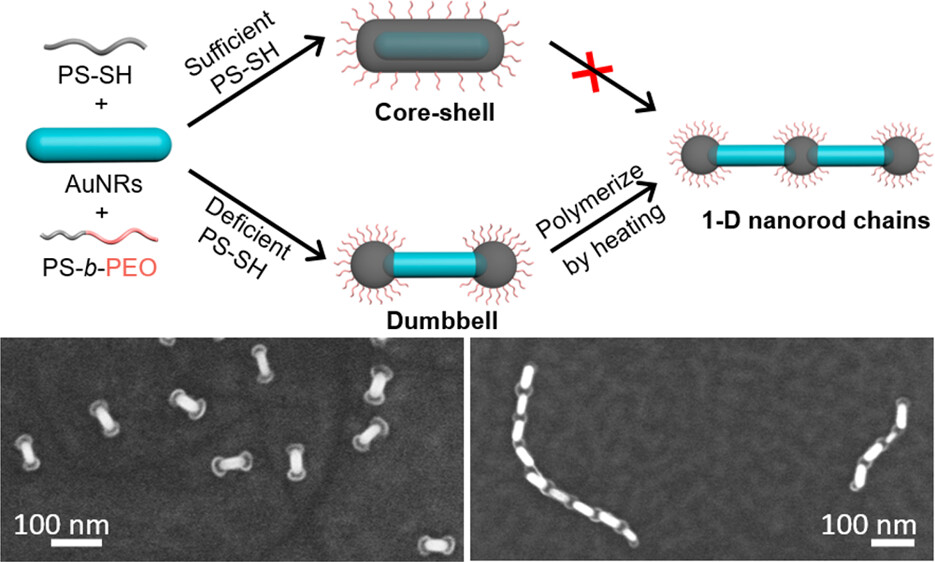 Site-Specific Chemistry on Gold Nanorods: Curvature-Guided Surface Dewetting and Supracolloidal Polymerization
