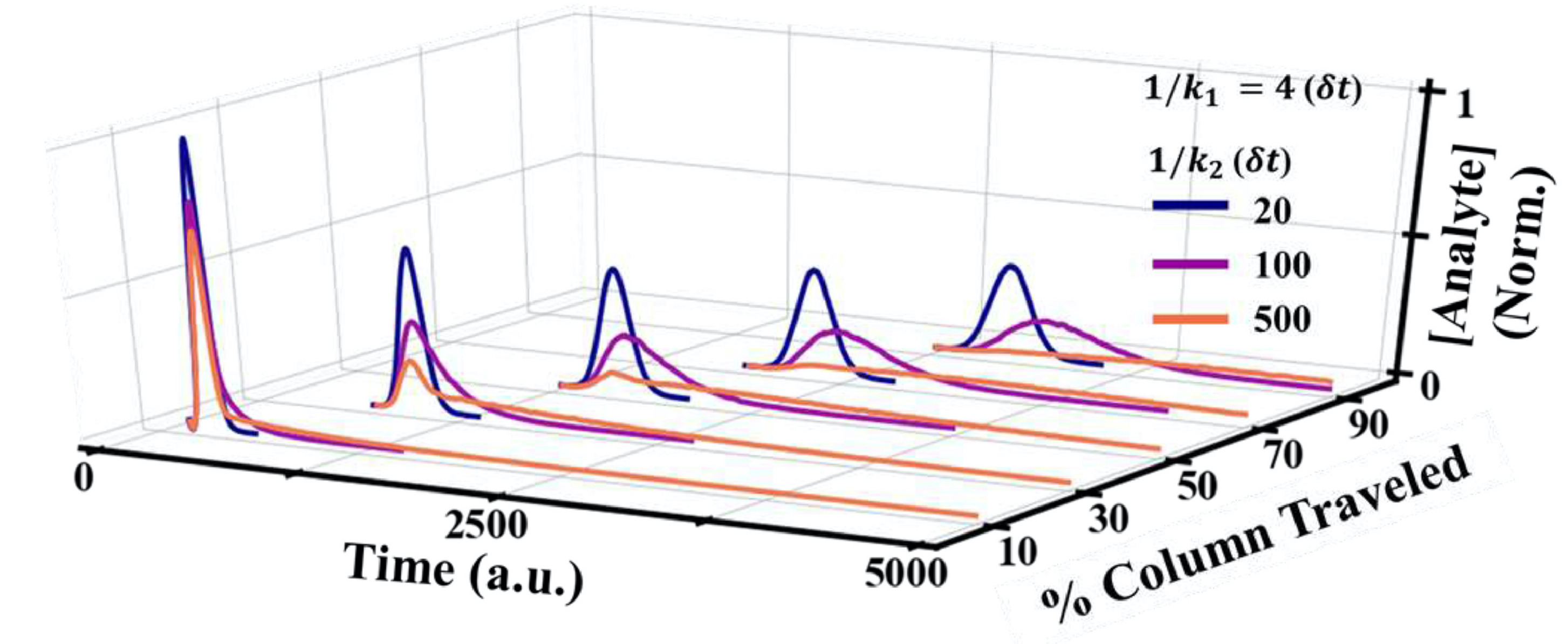 Unraveling peak asymmetry in chromatography through stochastictheory powered Monte Carlo simulations