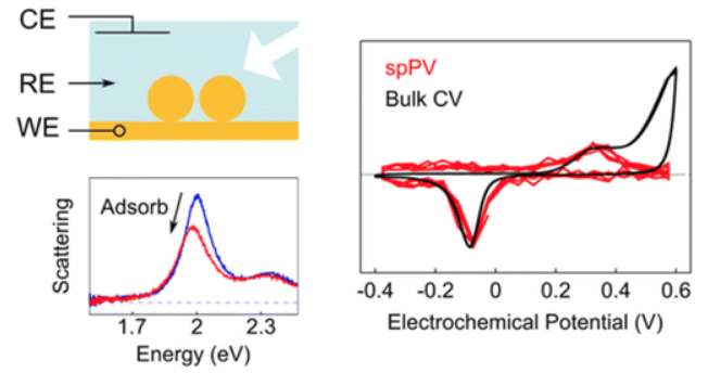 Single-Particle Plasmon Voltammetry (spPV) for Detecting Anion Adsorption