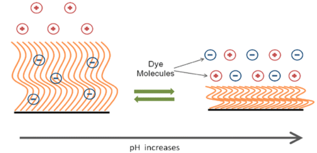 On the pH-Responsive, Charge-Selective, Polymer-Brush-Mediated Transport Probed by Traditional and Scanning Fluorescence Correlation Spectroscopy