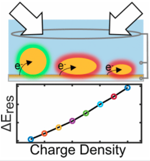 Spectral Response of Plasmonic Gold Nanoparticles to Capacitive Charging: Morphology Effects