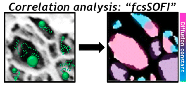 Characterization of Porous Materials by Fluorescence Correlation Spectroscopy Super-resolution Optical Fluctuation Imaging
