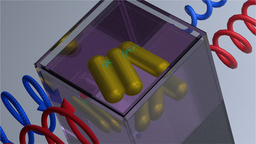 Naturally Occurring Proteins Direct Chiral Nanorod Aggregation
