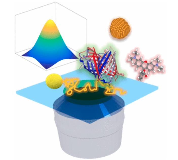 Single Particle Tracking: From Theory to Biophysical Applications