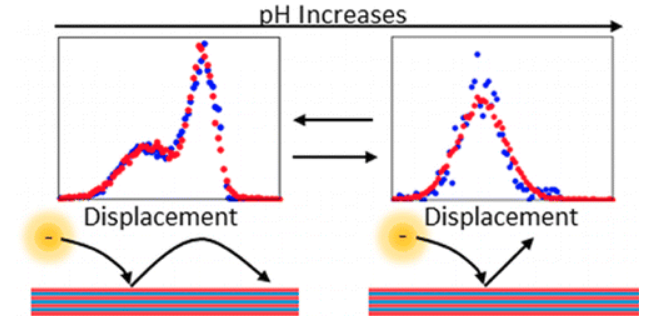 Charge-Dependent Transport Switching of Single Molecular Ions in a Weak Polyelectrolyte Multilayer