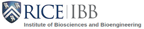 IBB