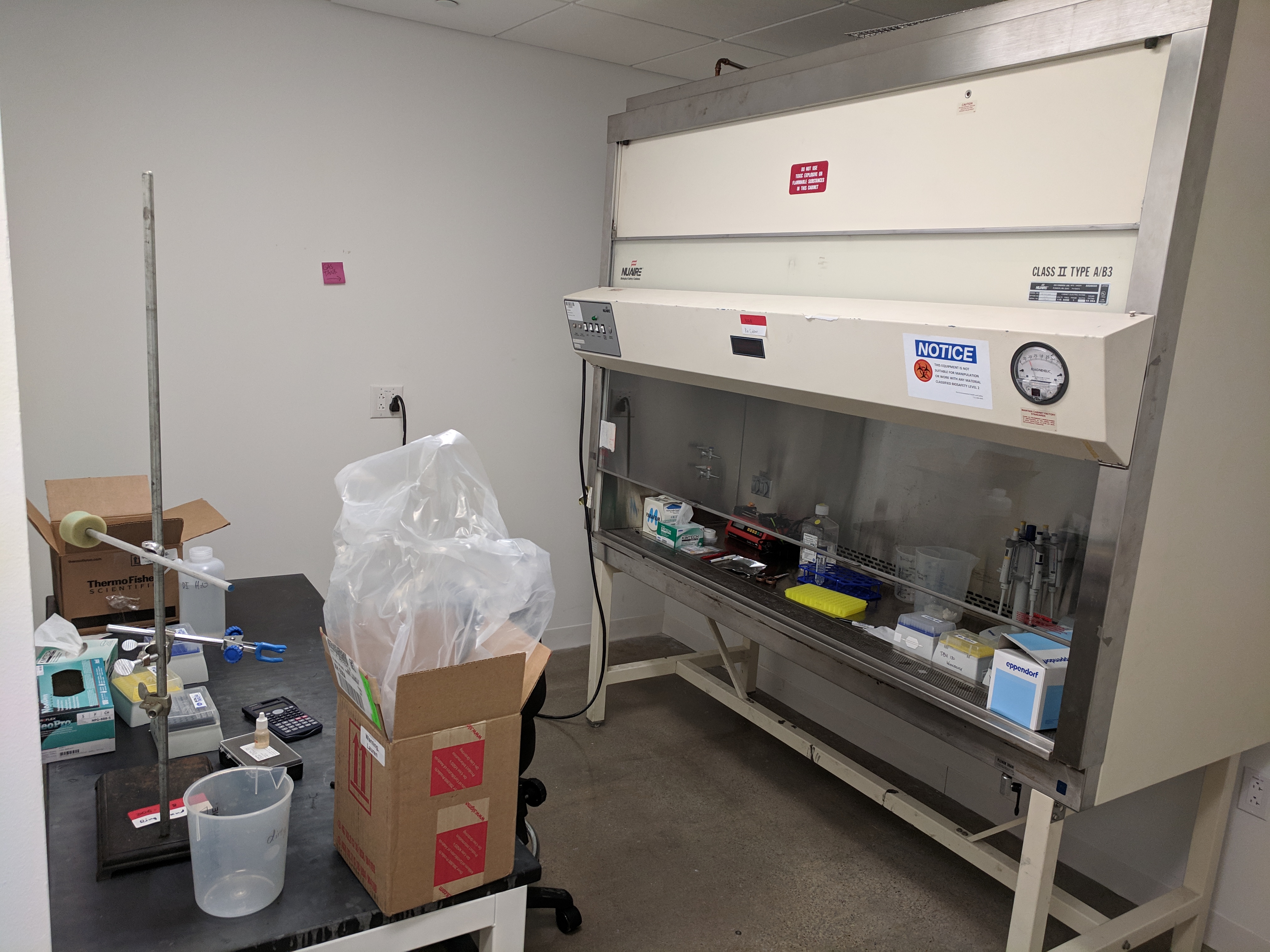 Biohood and biological prep area