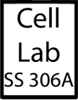 Cell Lab