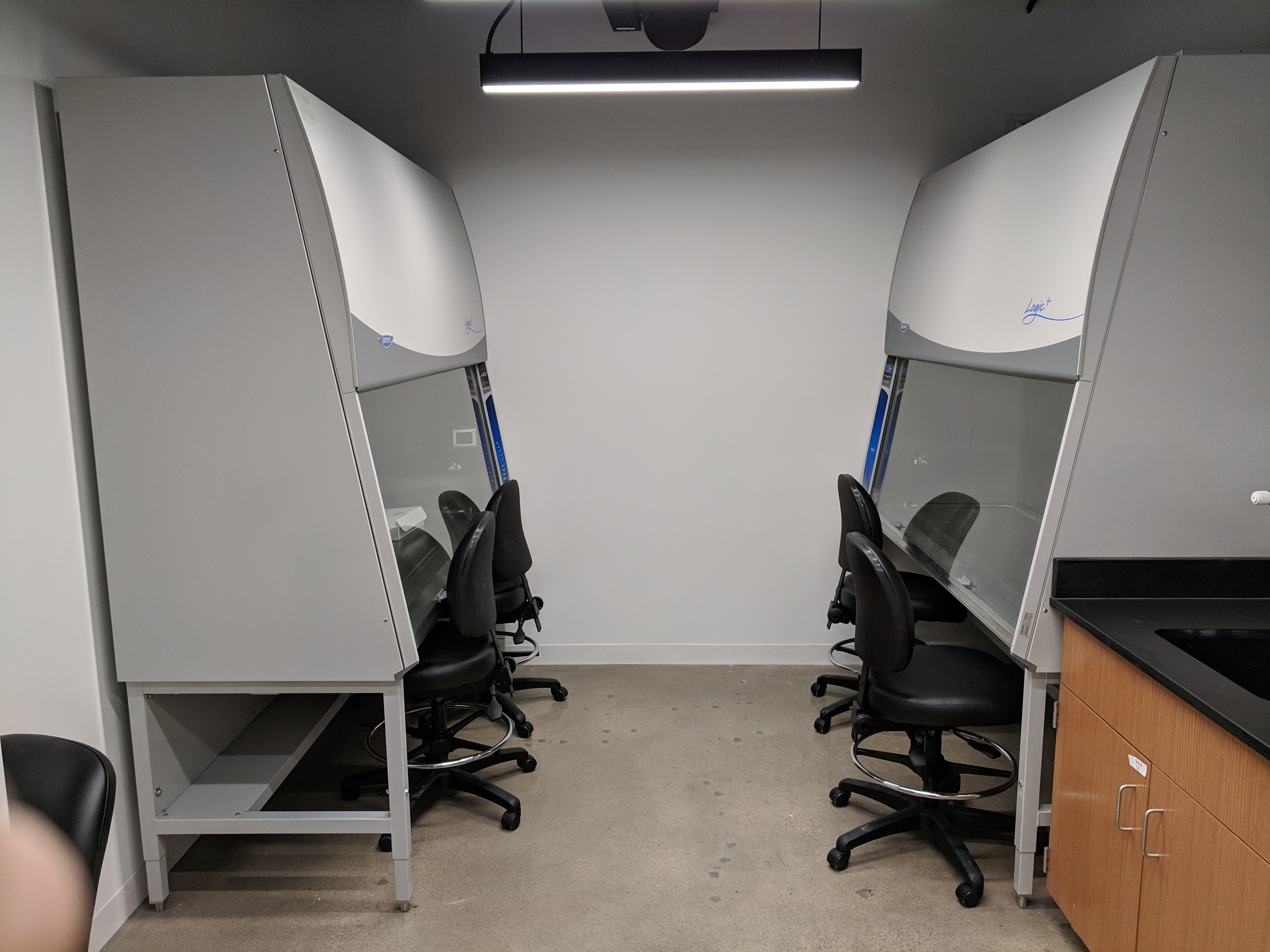 Where the magic happens
