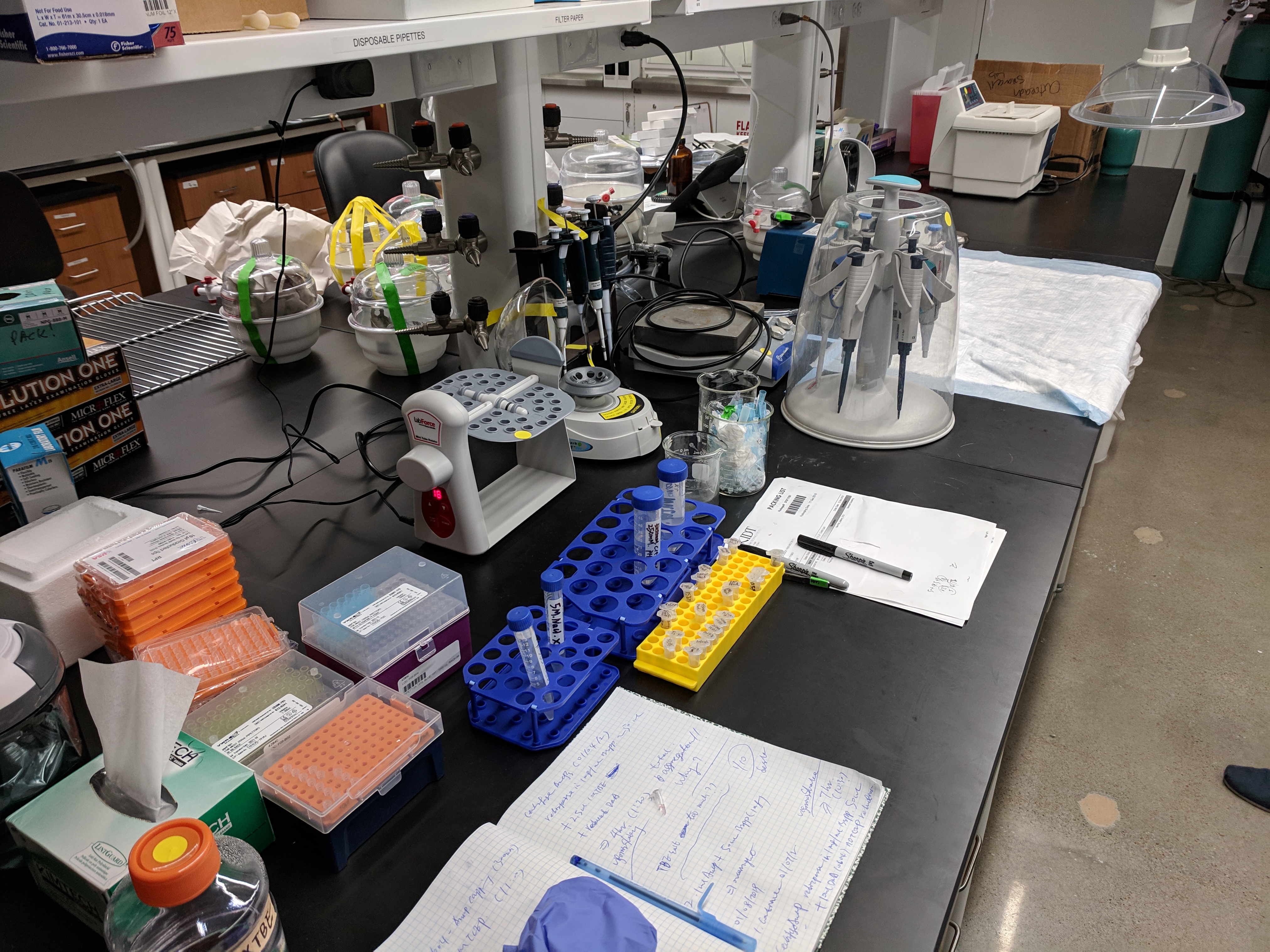 Pippettes ready to do some science