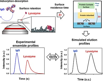 Toward Protein Chromatography by Design: Stochastic Theory, Single-Molecule Parameter Control, and Stimuli-Responsive Materials
