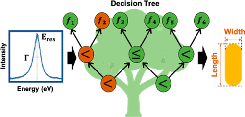 Machine-Learned Decision Trees for Predicting Gold Nanorod Sizes from Spectra