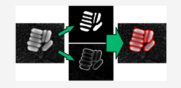 Quantitative Analysis of Nanorod Aggregation and Morphology from Scanning Electron Micrographs Using SEMseg