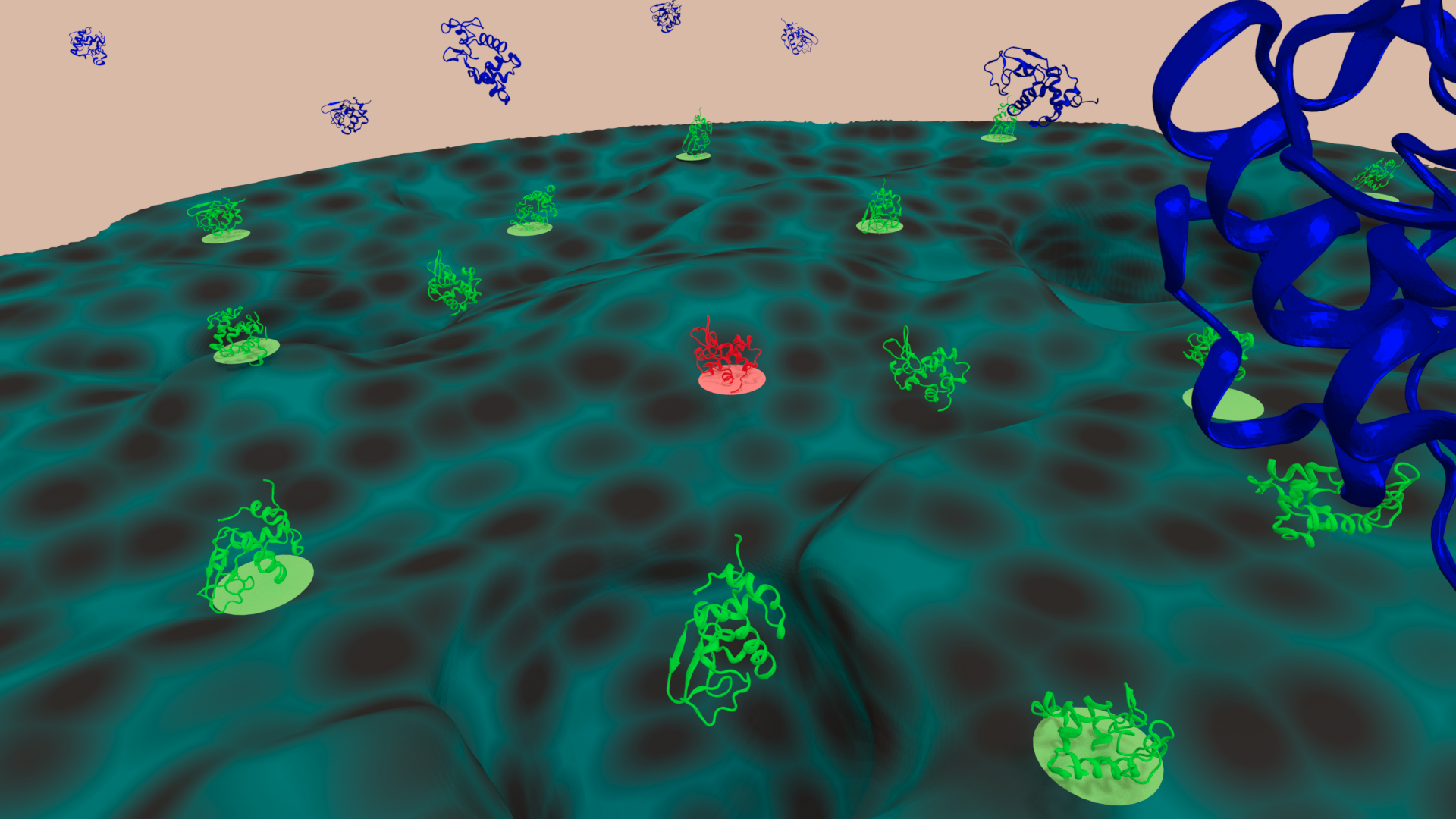 From a Protein's Perspective: Elution at the Single-Molecule Level