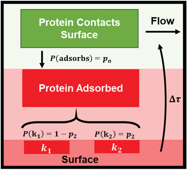 A new metric for relating macroscopic chromatograms to microscopic surface dynamics: the distribution function ratio (DFR)