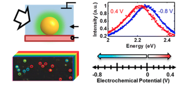 Single-Particle Spectroscopy Reveals Heterogeneity in Electrochemical Tuning of the Localized Surface Plasmon