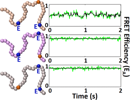 Mechanistic Understanding of the Phosphorylation-Induced Conformational Rigidity at the AMPA Receptor C-terminal Domain