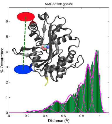 Conformational Transitions in the Glycine-Bound GluN1 NMDA Receptor LBD via Single-Molecule FRET