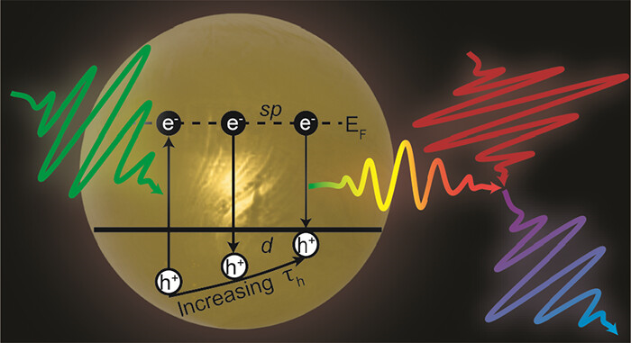 d-Band Hole Dynamics in Gold Nanoparticles Measured with Time-Resolved Emission Upconversion Microscopy