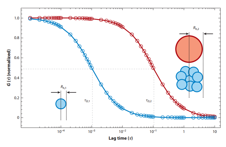Measuring the Hydrodynamic Size of Nanoparticles Using Fluctuation Correlation Spectroscopy