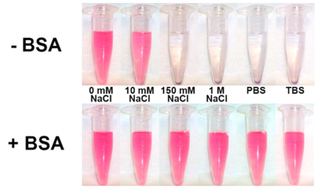 Adsorption of a Protein Monolayer via Hydrophobic Interactions Prevents Nanoparticle Aggregation under Harsh Environmental Conditions