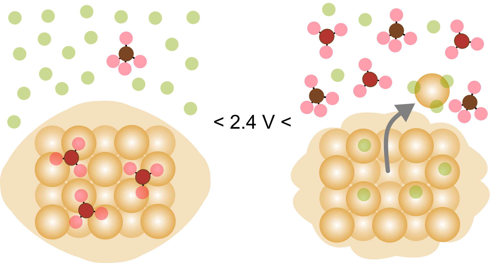 Electrodissolution Inhibition of Gold Nanorods with Oxoanions