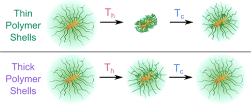 Heterogeneity and Hysteresis in the Polymer Collapse of Single Core–Shell Stimuli-Responsive Plasmonic Nanohybrids