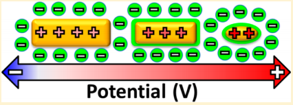 Spectroelectrochemistry of Halide Anion Adsorption and Dissolution of Single Gold Nanorods