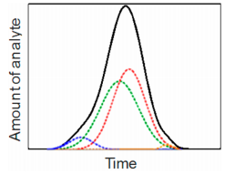 Molecular Approaches to Chromatography Using Single Molecule Spectroscopy