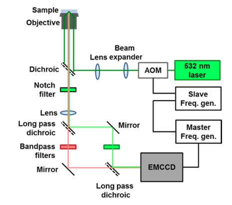 Extending single molecule fluorescence observation time by amplitude-modulated excitation