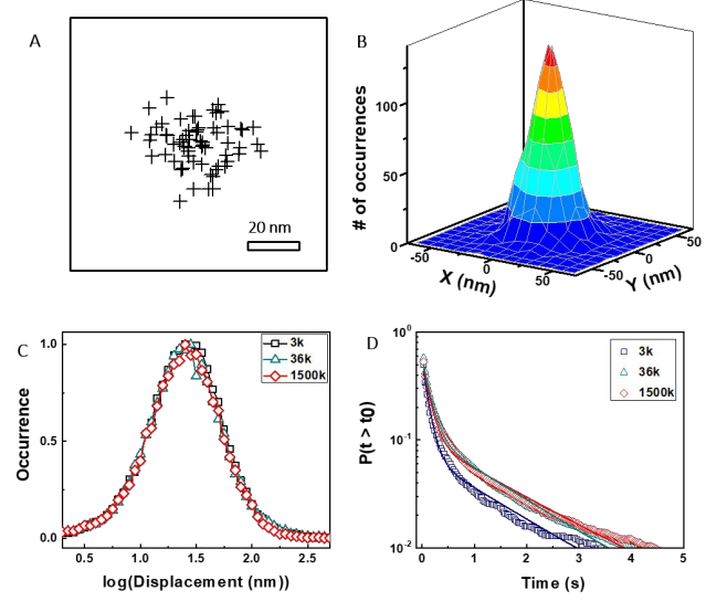 Polymer free volume effects on protein dynamics at polystyrene revealed by single-molecule spectroscopy