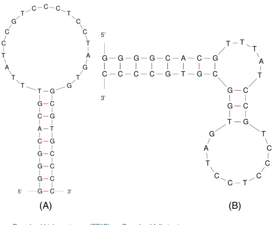 Ensemble and single-molecule biophysical characterization of D17.4 DNA aptamer–IgE interactions