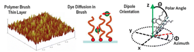Transport in Supported Polyelectrolyte Brushes
