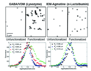 Variable surface transport modalities on functionalized nylon films revealed with single molecule spectroscopy