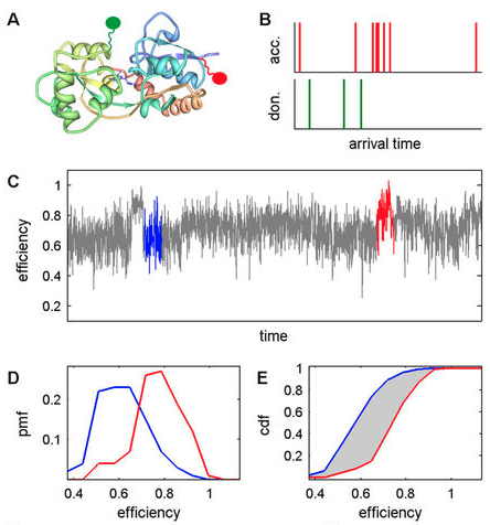 Error-based Extraction of States and Energy Landscapes from Experimental Single-Molecule Time-Series