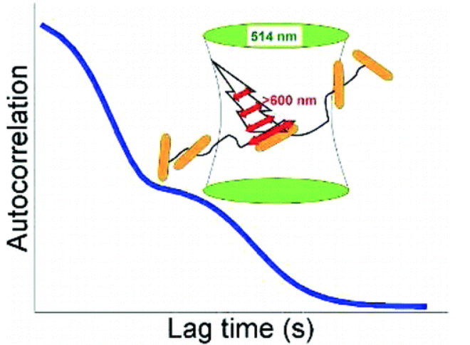 One-Photon Plasmon Luminescence and Its Application to Correlation Spectroscopy as a Probe for Rotational and Translational Dynamics of Gold Nanorods