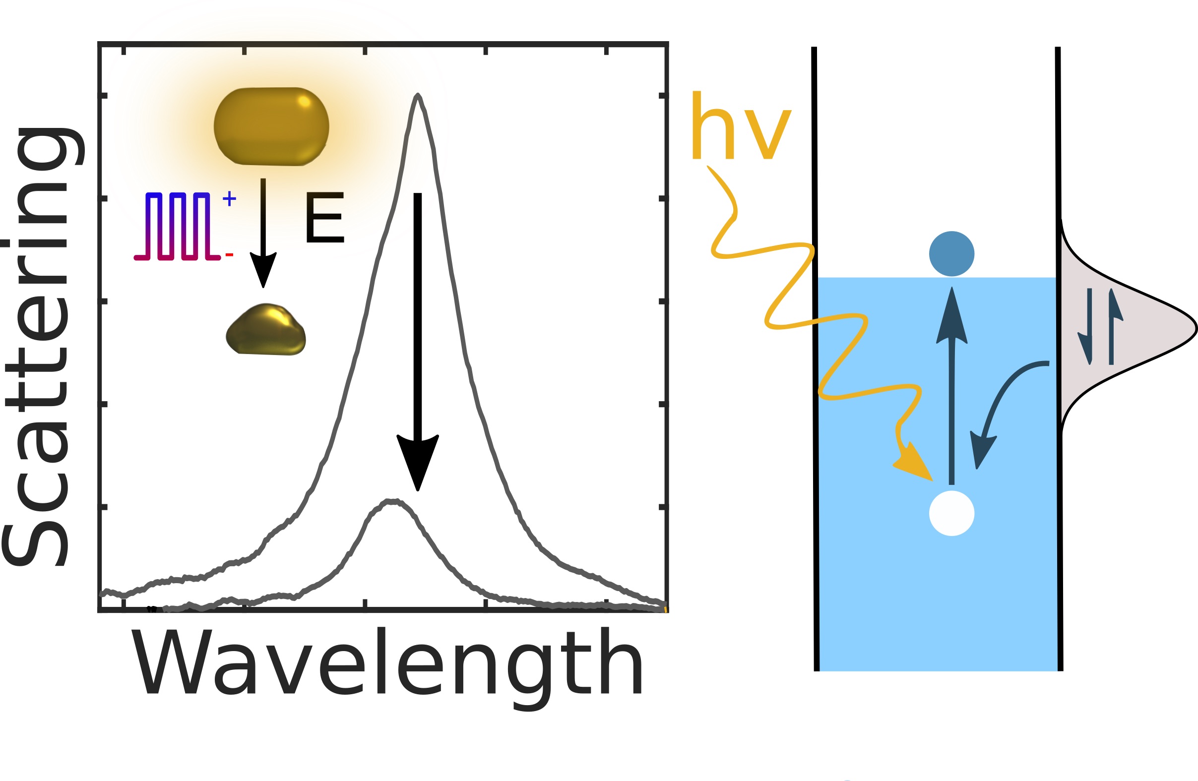 Hot Holes Assist Plasmonic Nanoelectrode Dissolution