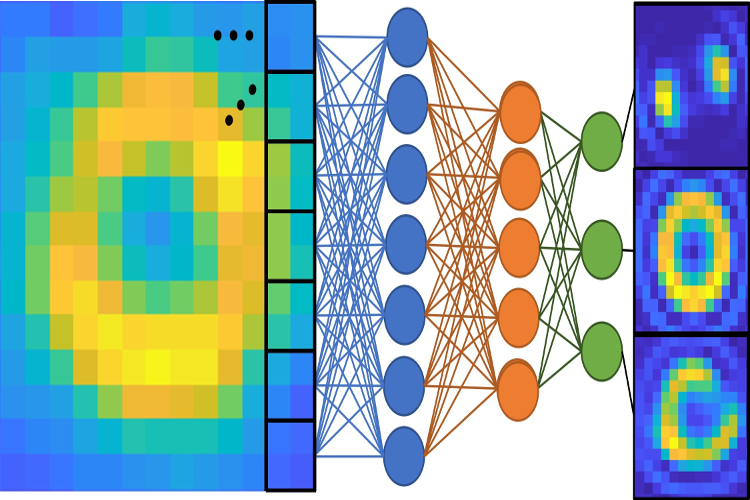 Imaging and Signal Processing